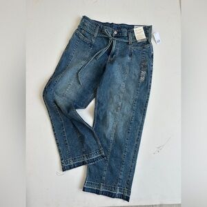 NWT- Gap 90’s Loose Low Rise - Straight Leg - Mid Wash Denim - Size 30/10P